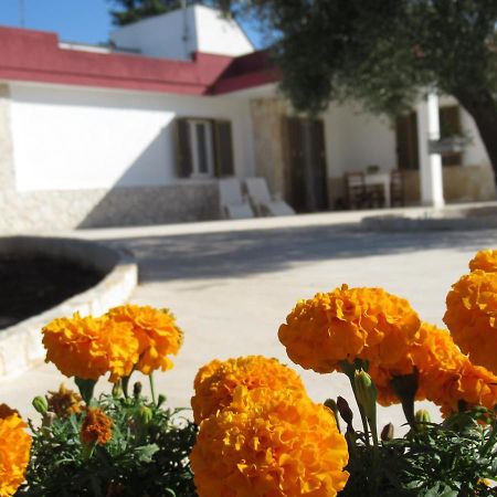 Casa Ale & Vinci Villa Monopoli Dış mekan fotoğraf