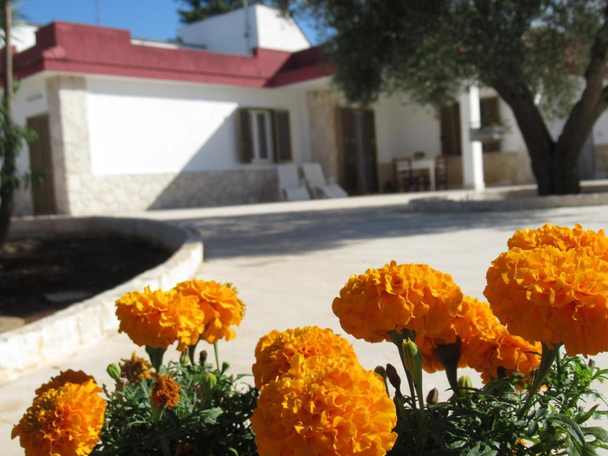 Casa Ale & Vinci Villa Monopoli Dış mekan fotoğraf
