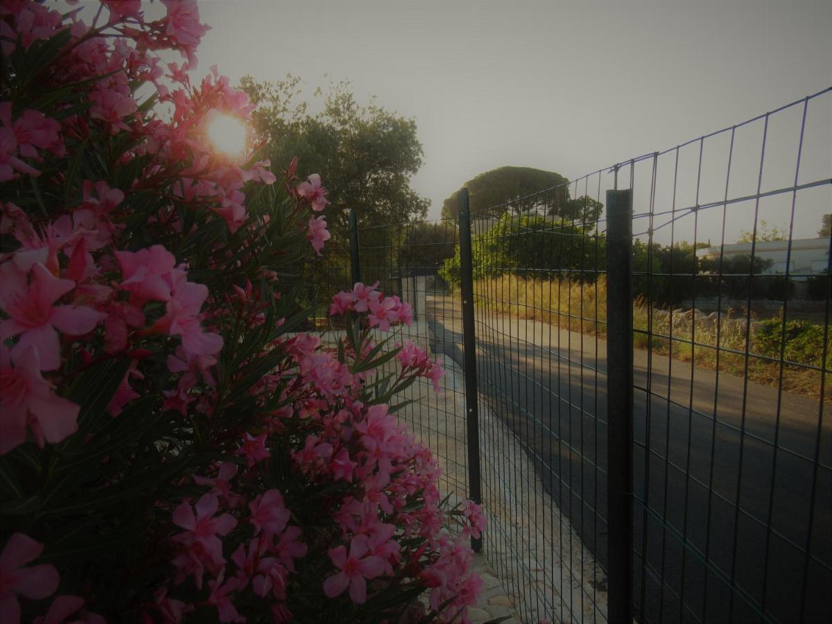 Casa Ale & Vinci Villa Monopoli Dış mekan fotoğraf