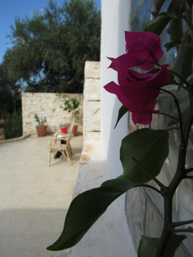 Casa Ale & Vinci Villa Monopoli Dış mekan fotoğraf