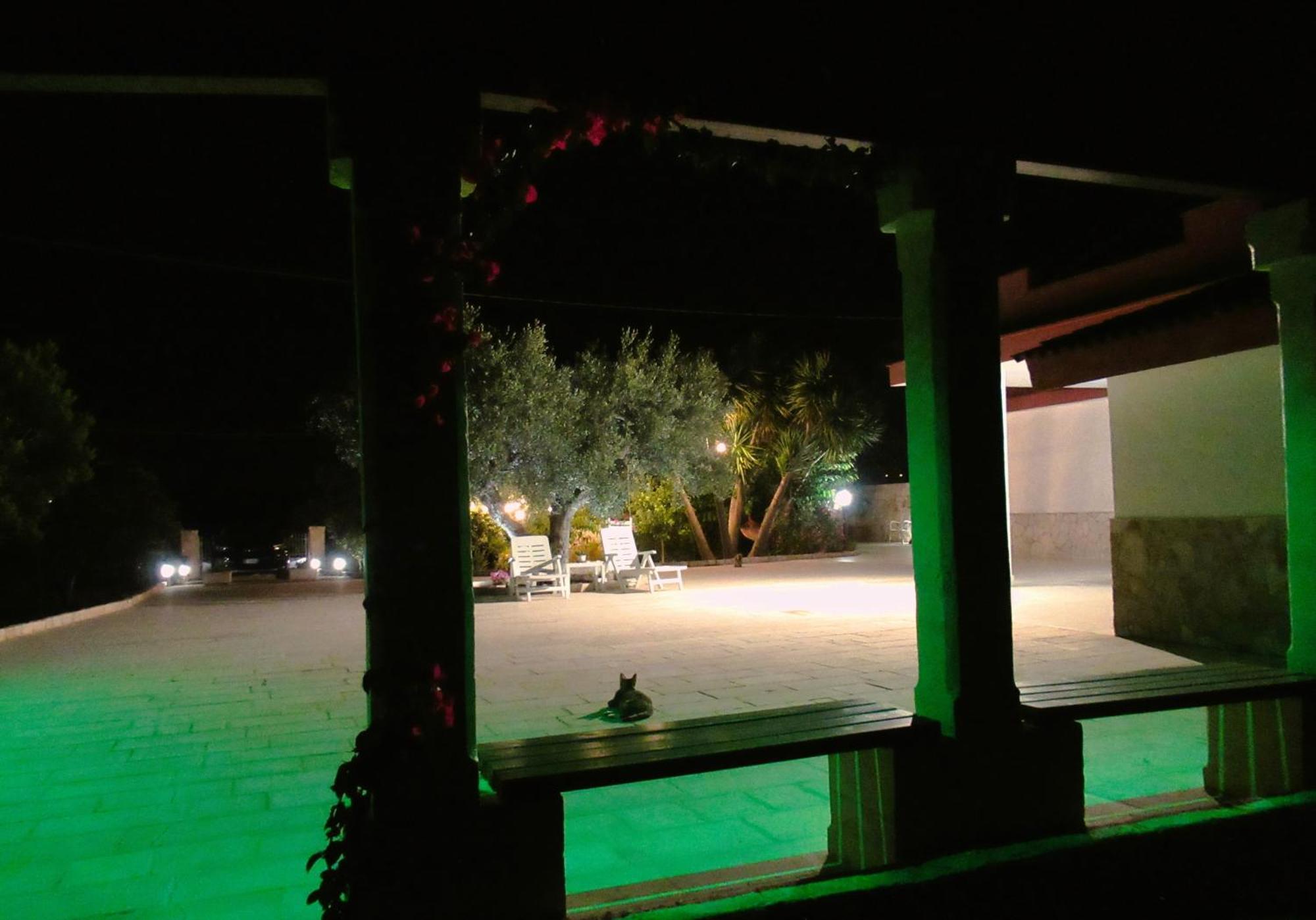 Casa Ale & Vinci Villa Monopoli Dış mekan fotoğraf