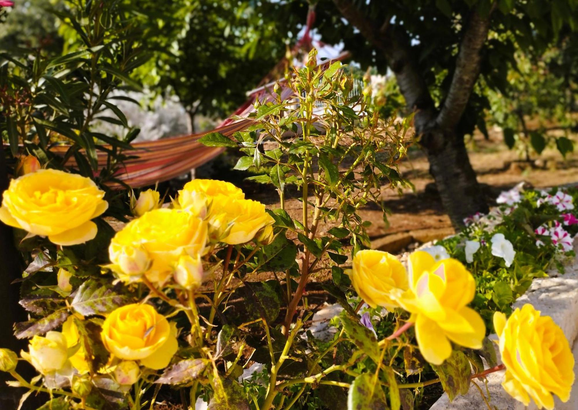 Casa Ale & Vinci Villa Monopoli Dış mekan fotoğraf