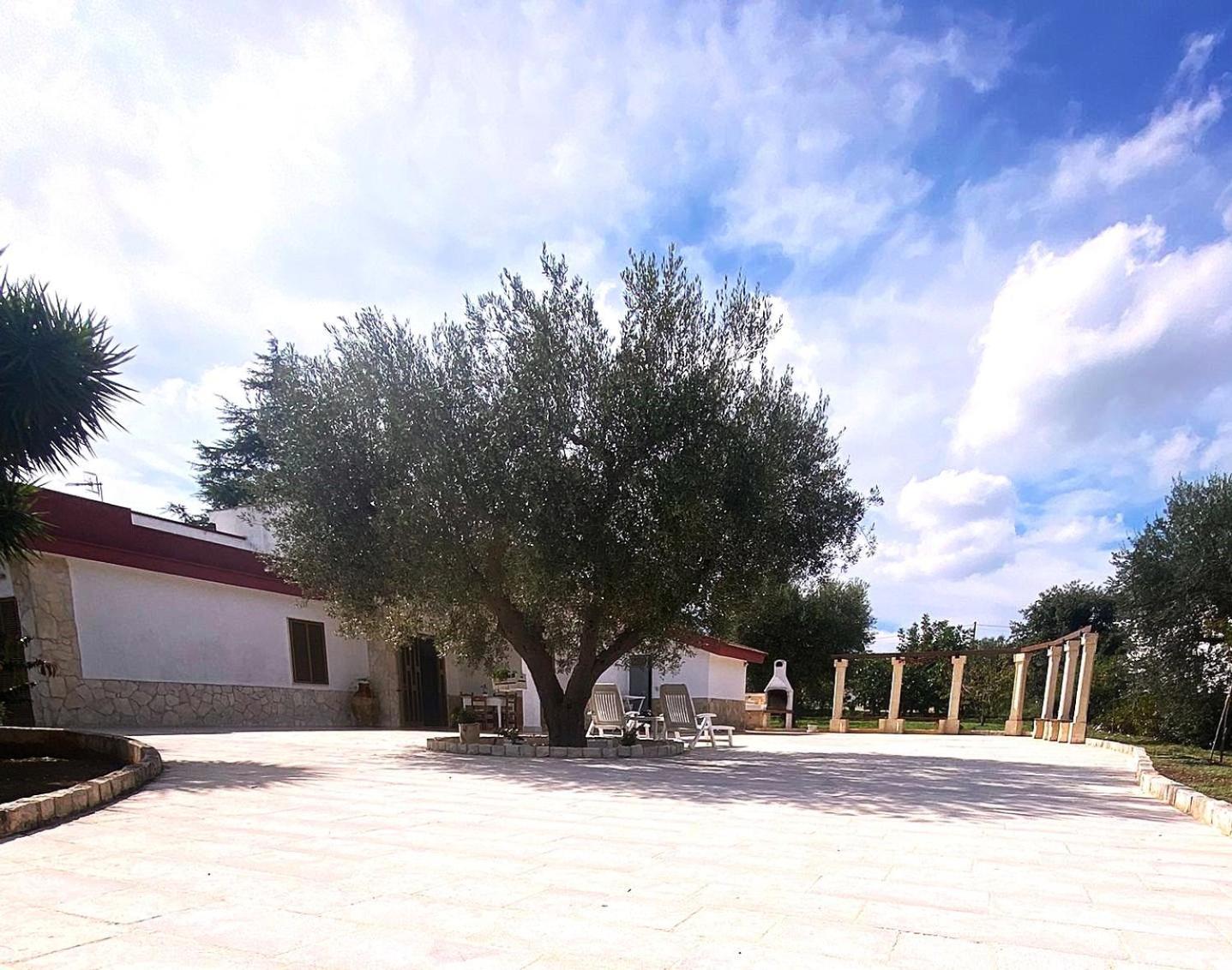 Casa Ale & Vinci Villa Monopoli Dış mekan fotoğraf