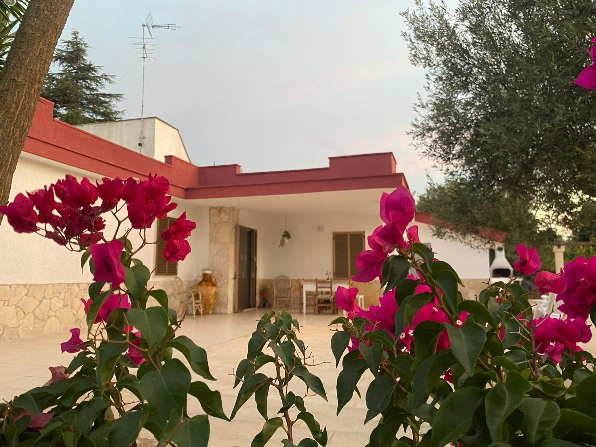 Casa Ale & Vinci Villa Monopoli Dış mekan fotoğraf
